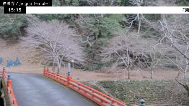 ( 神護寺庭園、京都、右京 ) Jingo-ji Temple Garden, Kyoto, Ukyo  Live Cam - Umegahata Takaocho, Ukyo-ku, Kyoto, Kyōto, Kansai, Japan 