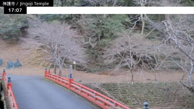 ( 神護寺庭園、京都、右京 ) Jingo-ji Temple Garden, Kyoto, Ukyo  Live Cam - Umegahata Takaocho, Ukyo-ku, Kyoto, Kyōto, Kansai, Japan 