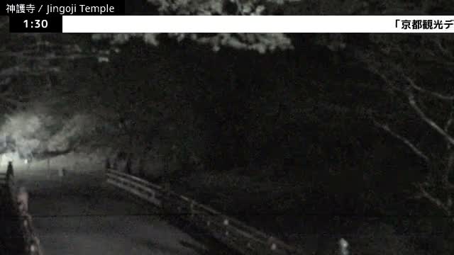 ( 神護寺庭園、京都、右京 ) Jingo-ji Temple Garden, Kyoto, Ukyo  Live Cam - Umegahata Takaocho, Ukyo-ku, Kyoto, Kyōto, Kansai, Japan 