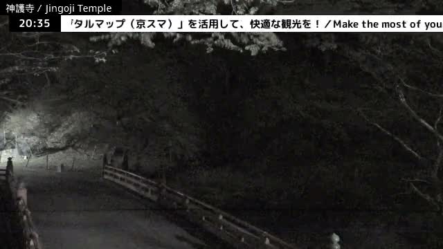 ( 神護寺庭園、京都、右京 ) Jingo-ji Temple Garden, Kyoto, Ukyo  Live Cam - Umegahata Takaocho, Ukyo-ku, Kyoto, Kyōto, Kansai, Japan 