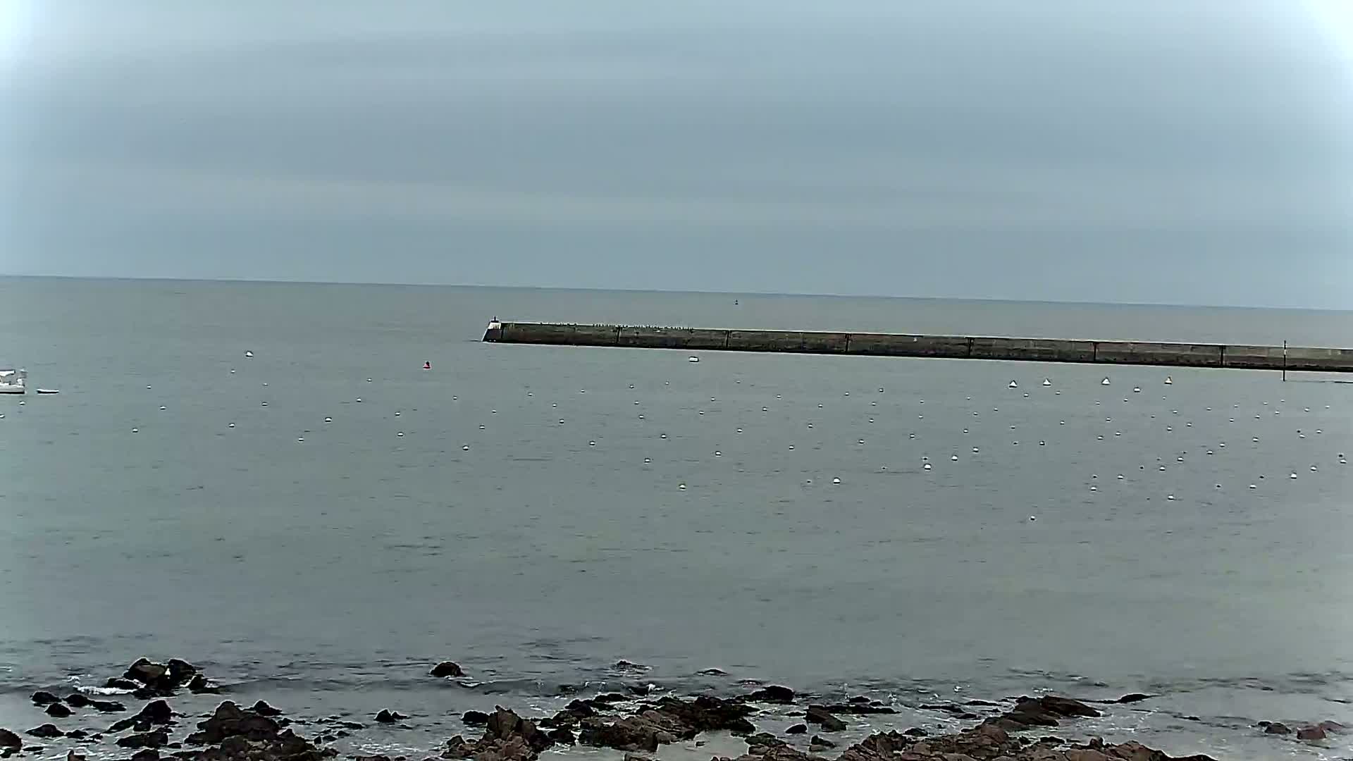 A long, low seawall stretches across a calm, gray sea, with a rocky shoreline in the foreground under an overcast sky.
