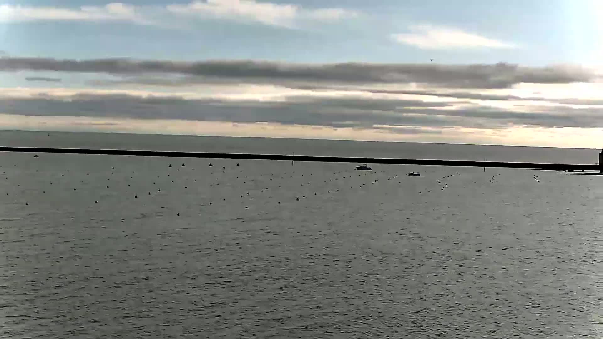 A calm, overcast day shows a body of water with numerous dark objects scattered across its surface, a long dark structure in the mid-ground, and a few small boats.