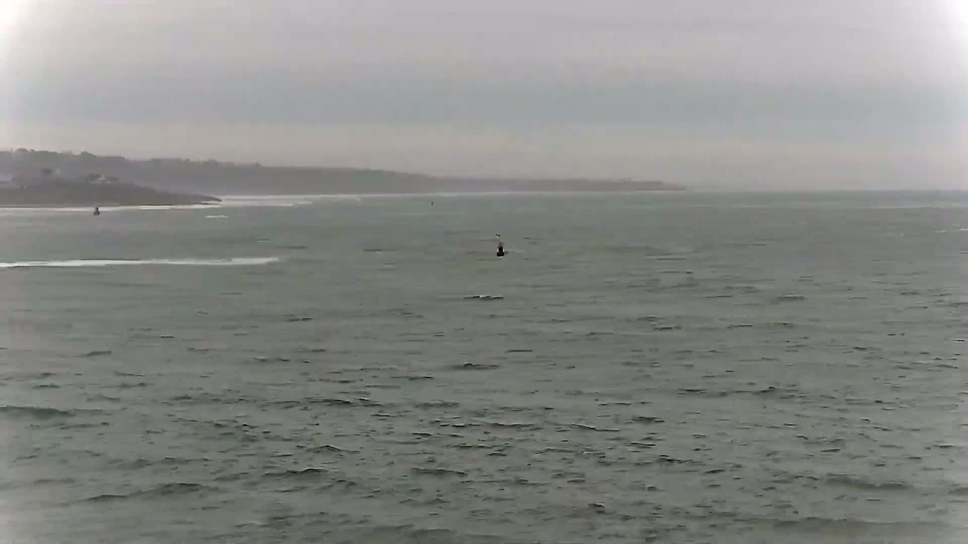 A dark buoy sits in choppy gray water under an overcast sky, with a distant shoreline visible.