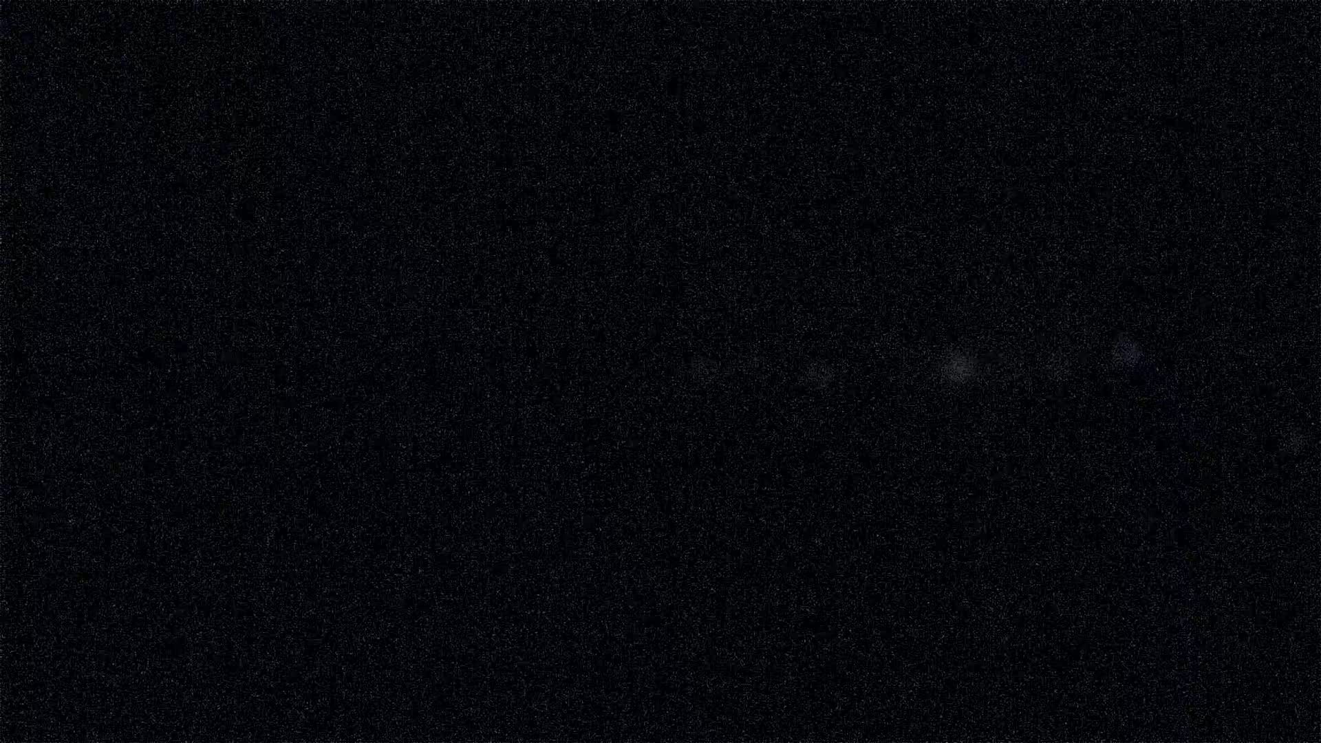 A dark, speckled field of black fills the image.