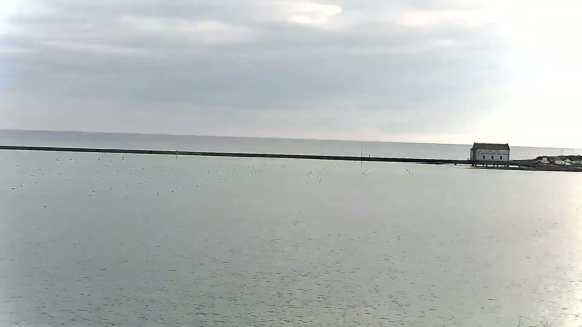 A calm body of water displays numerous small buoys in rows, a single building on stilts sits near a long, low wall in the distance under an overcast sky.