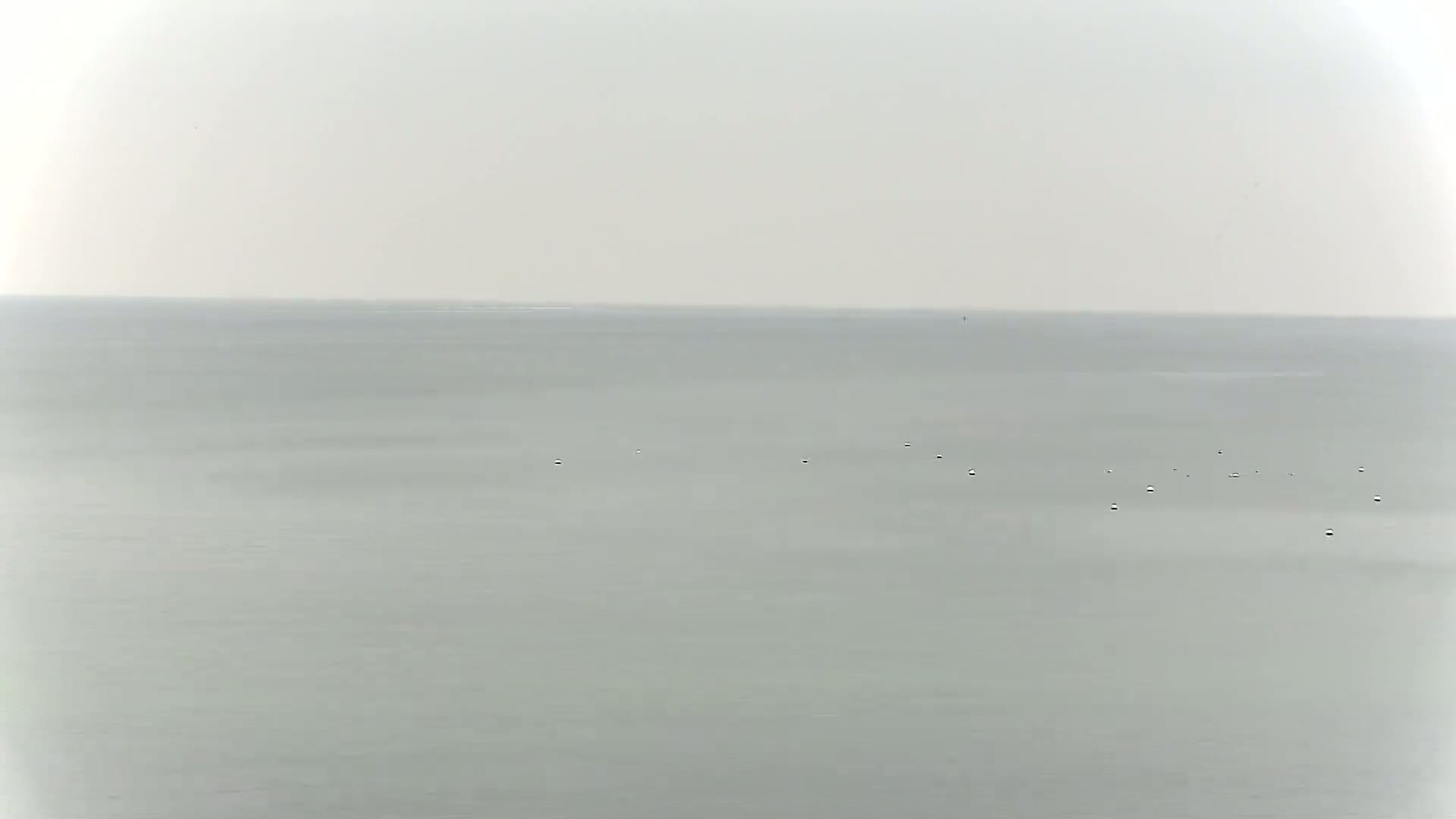 A calm, overcast day shows a wide expanse of grey-green ocean with a few small dark objects scattered on its surface.