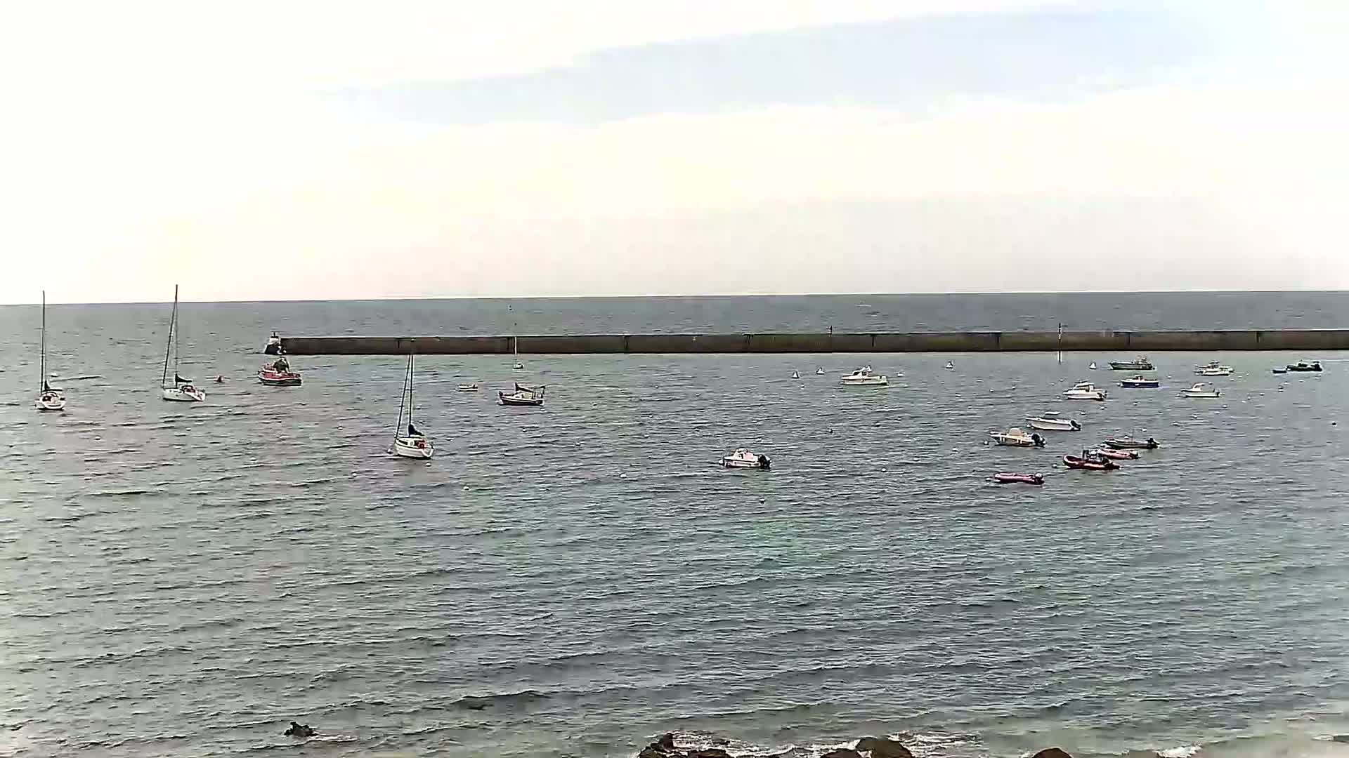 Numerous small boats and sailboats are moored in calm, gray water behind a long, low seawall under an overcast sky.
