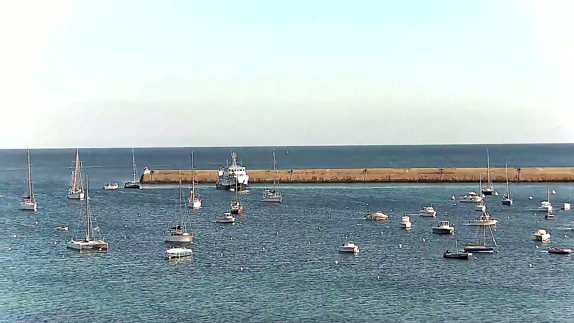 A calm harbor with numerous sailboats and motorboats, a larger vessel near a long breakwater, under a clear sky.
