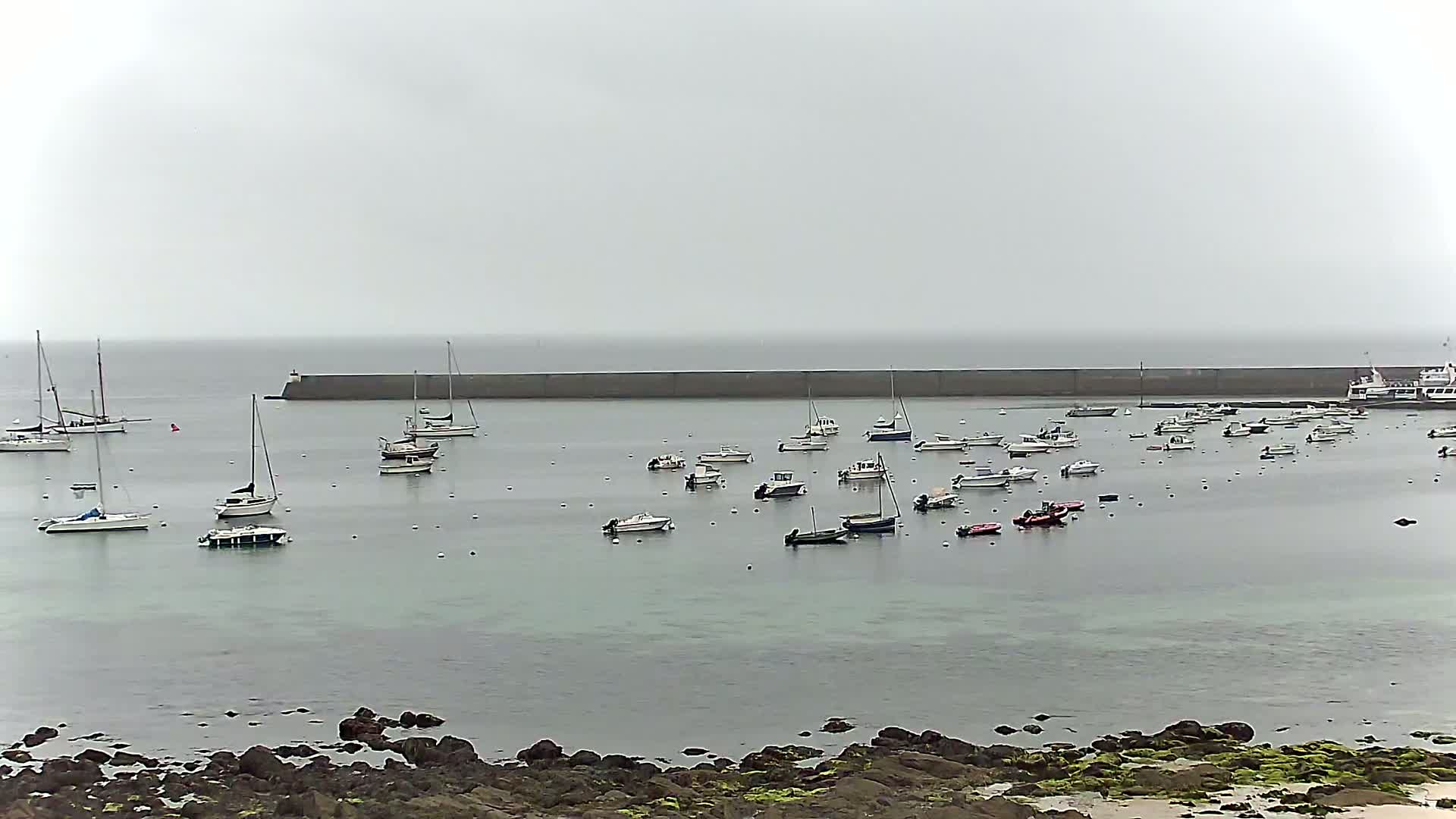 Many sailboats and motorboats are moored in a calm, gray harbor behind a long breakwater on an overcast day.