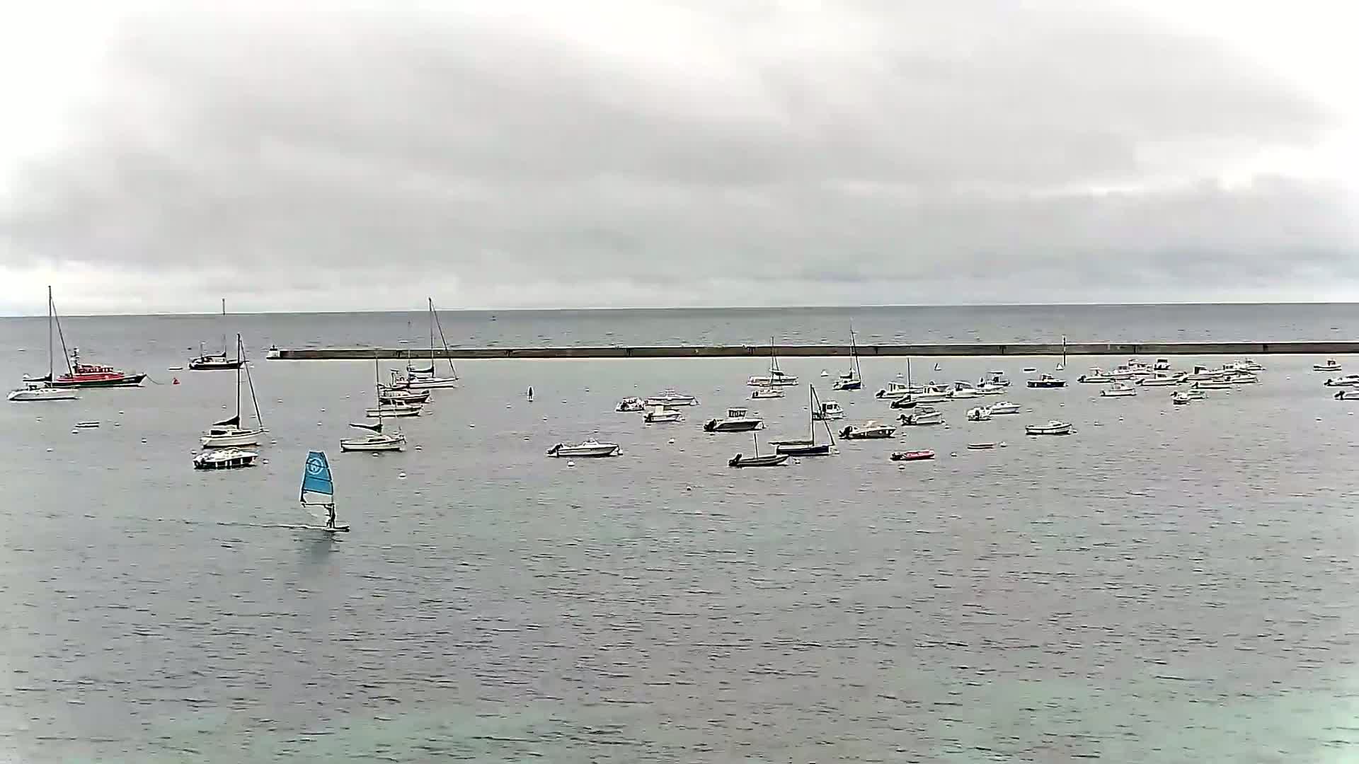 Many sailboats and motorboats are moored in calm, gray water under an overcast sky.