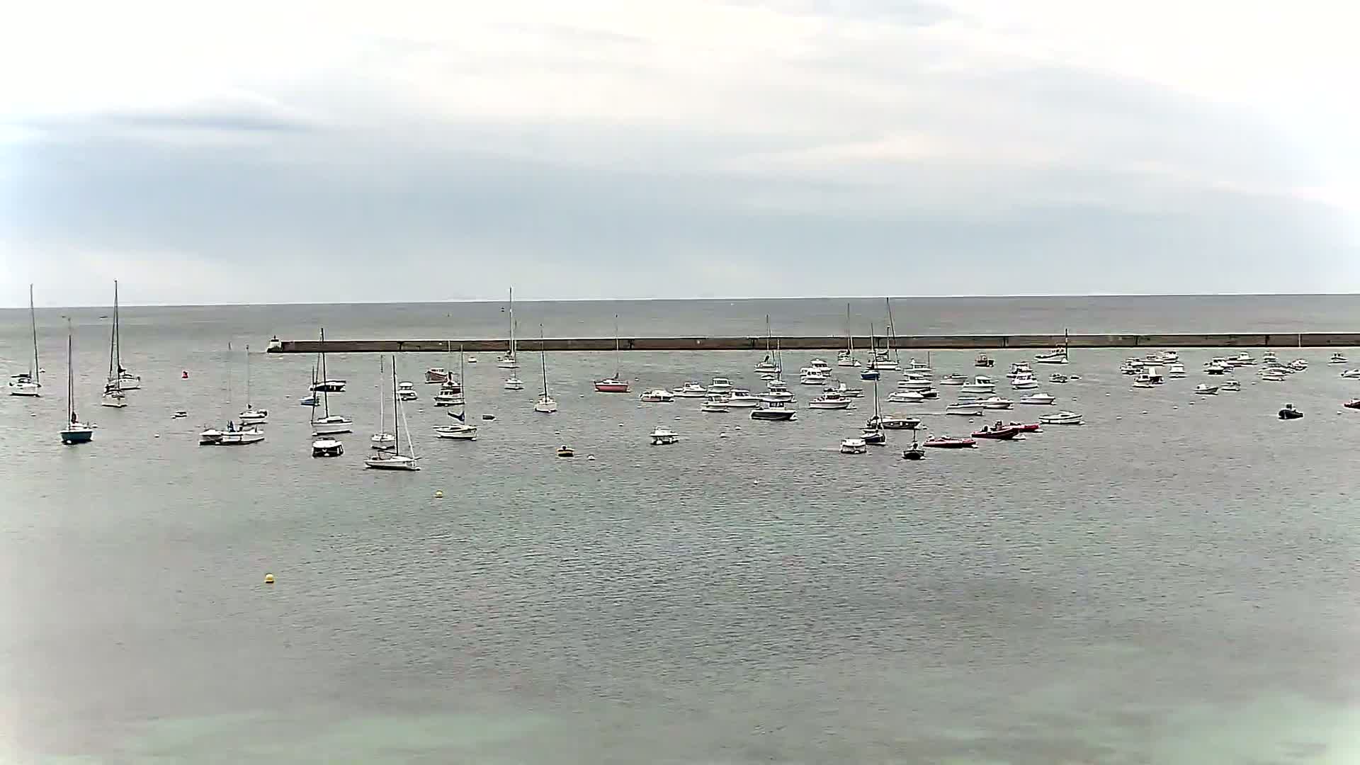 Many sailboats and motorboats are moored in calm, gray water behind a long, low seawall under an overcast sky.