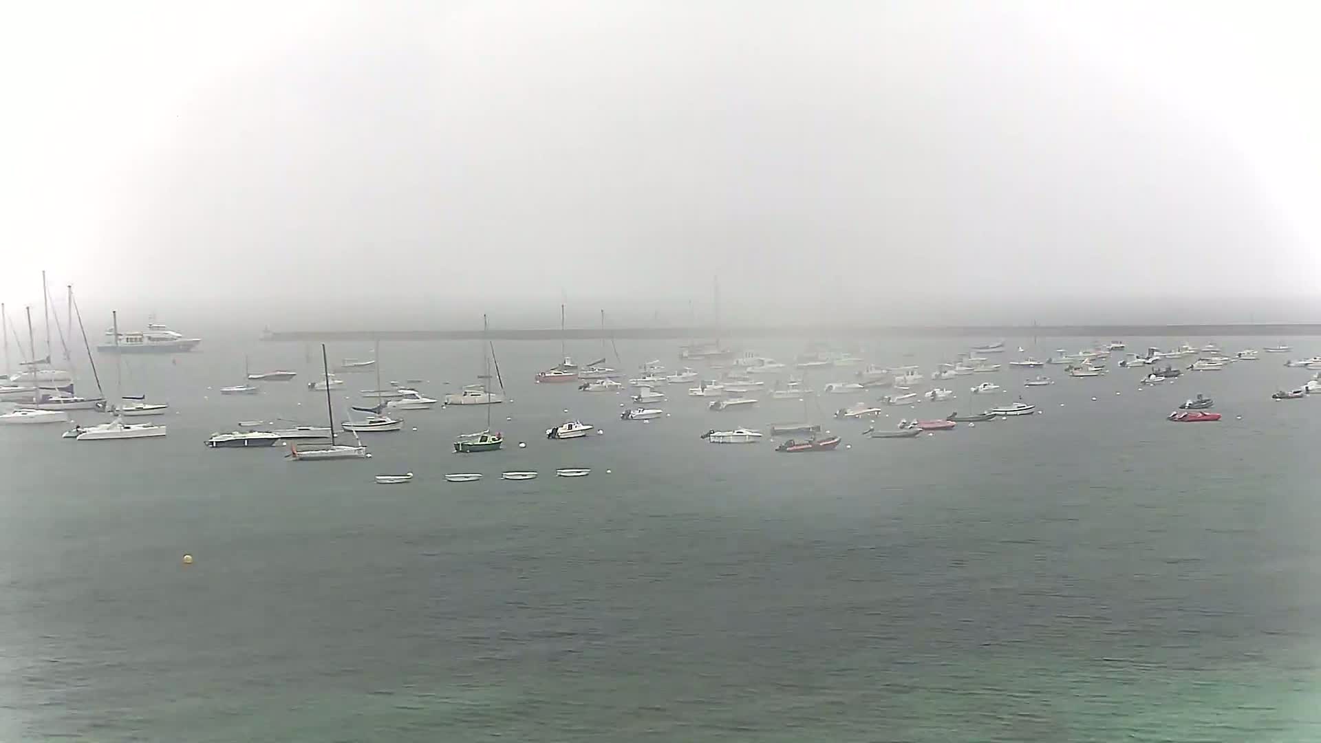Many boats are moored in a harbor shrouded in thick fog.