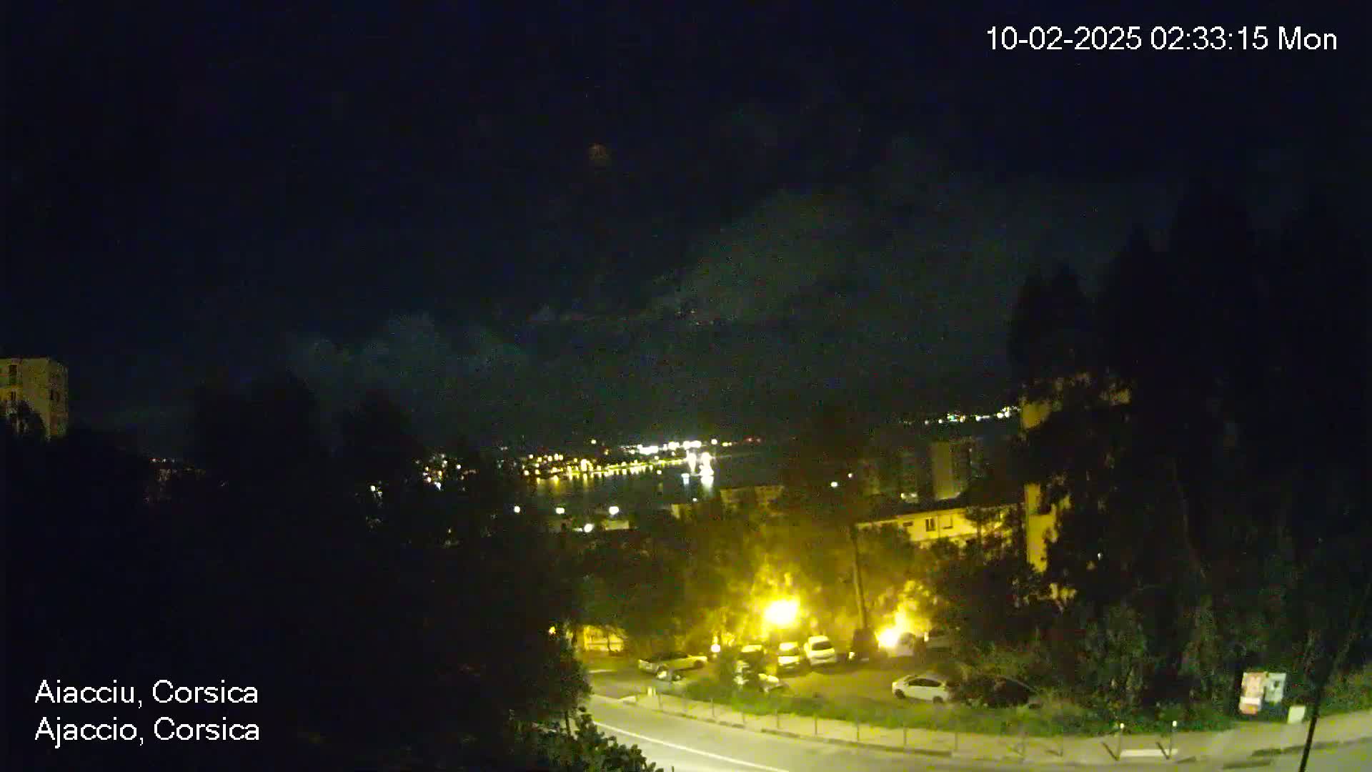 A nighttime view of a city by the water under a partly cloudy sky shows a road with parked cars, buildings, and trees.