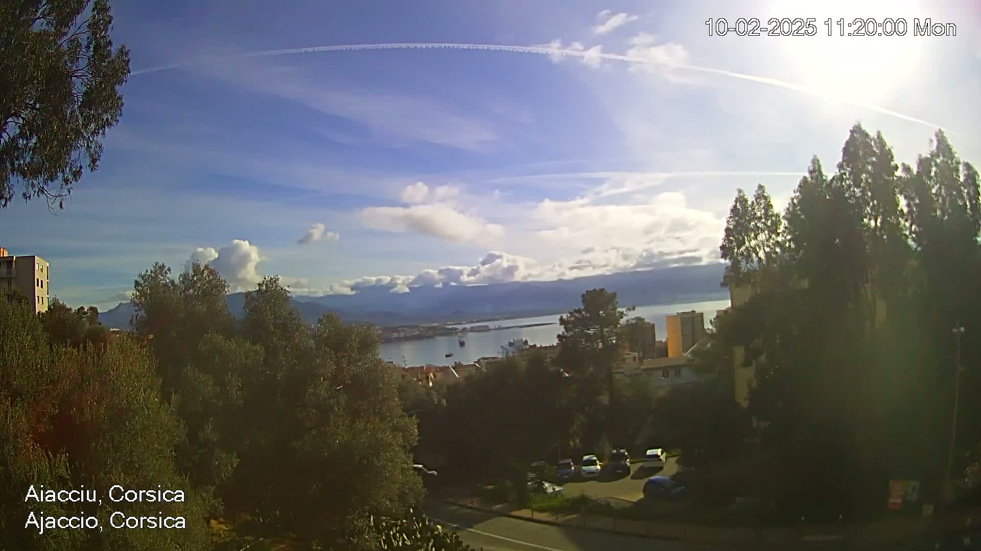 A partly cloudy, sunny day overlooks a city and harbor, nestled among green trees and buildings.