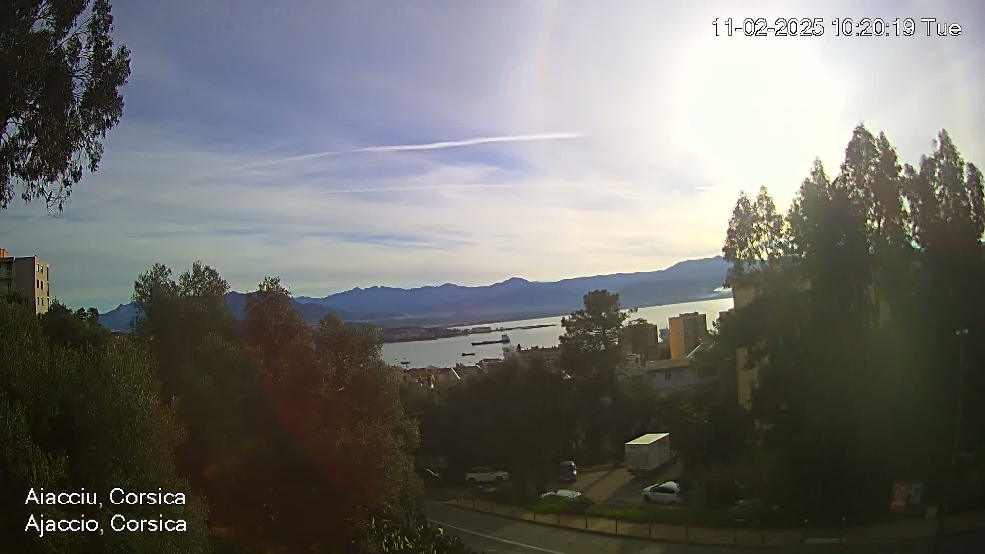A partly sunny day shows a view of a calm bay with several ships, backed by mountains, as seen from a hilltop overlooking a residential area with trees and parked cars.