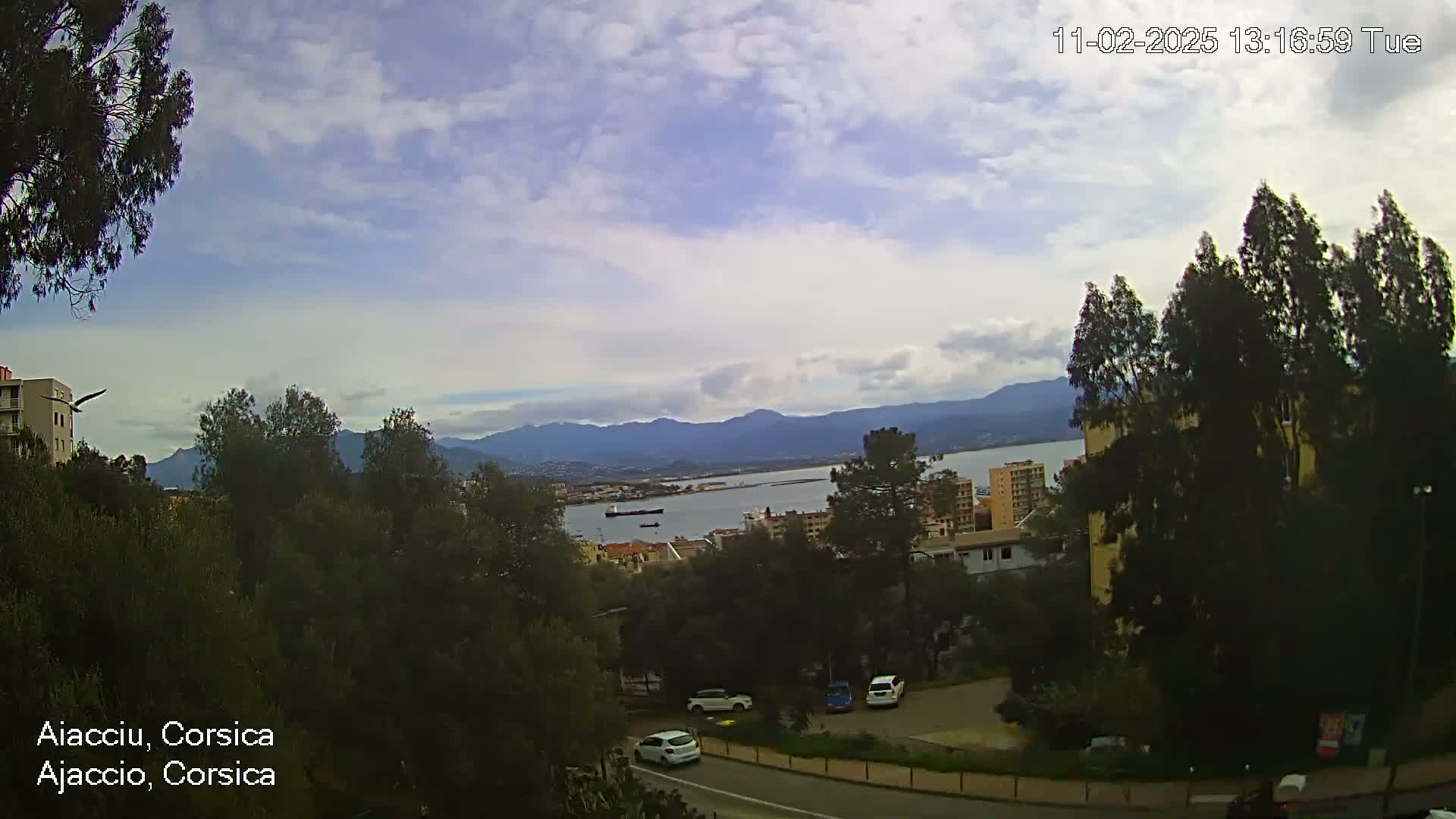 A partly cloudy day overlooks a city by a bay with mountains in the distance, featuring several cars on a road and a bird in flight.
