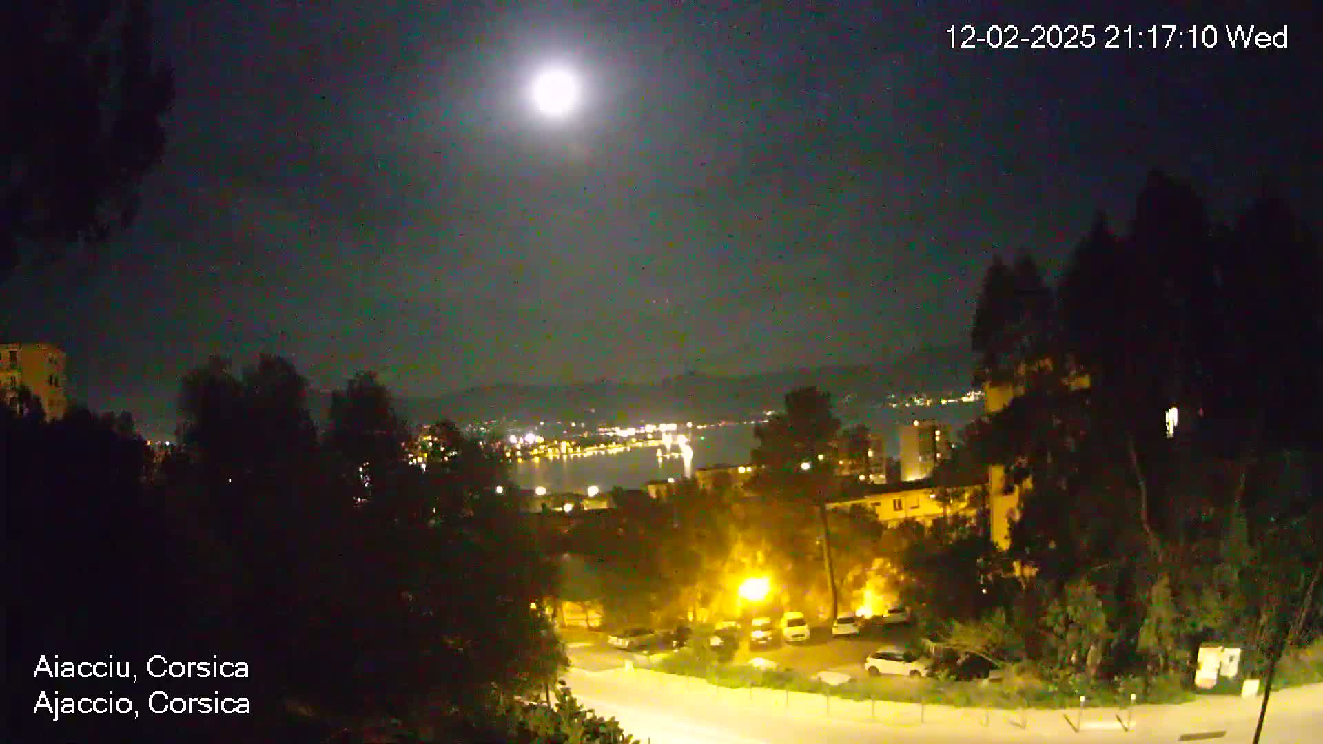 A bright moon illuminates a nighttime view of a city nestled among dark trees, with a body of water and distant lights visible in the background.