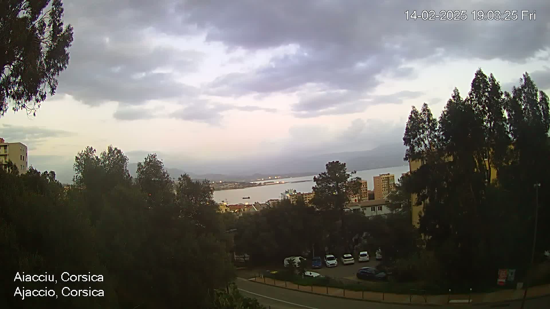 An overcast sky overlooks a coastal city with a harbor, buildings, and parked cars nestled among dark green trees.