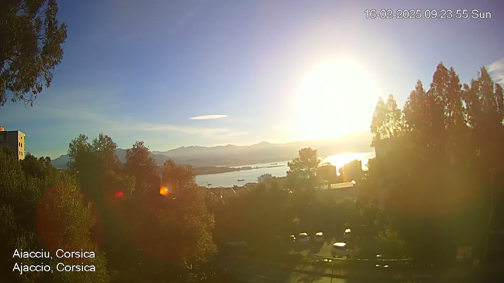 A sunny day reveals a panoramic view of a city by the sea, nestled between hills, with numerous trees and parked cars visible in the foreground.