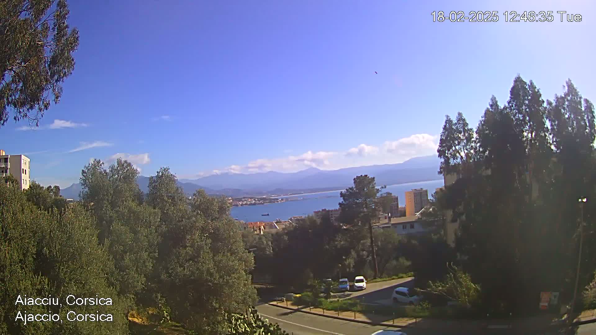 A sunny day overlooks a coastal town nestled amongst green trees and mountains, with a calm body of water visible in the distance.