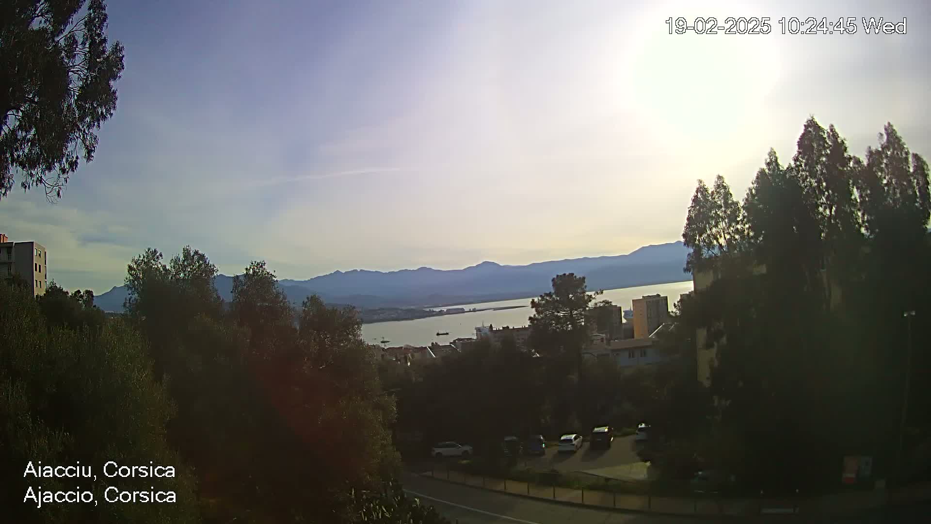 A partly sunny, daytime view overlooking a calm body of water,  surrounded by green hills and buildings, with trees in the foreground.