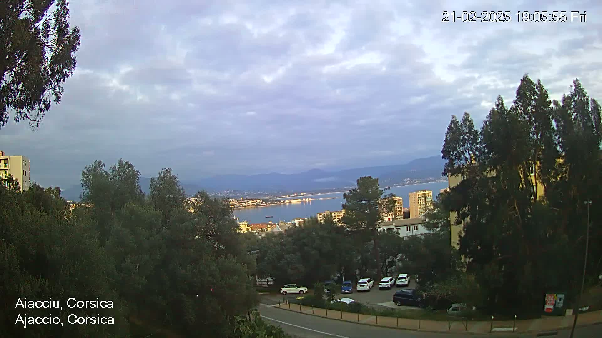 A partly cloudy sky overlooks a coastal city with a calm bay,  residential buildings, and numerous evergreen trees.