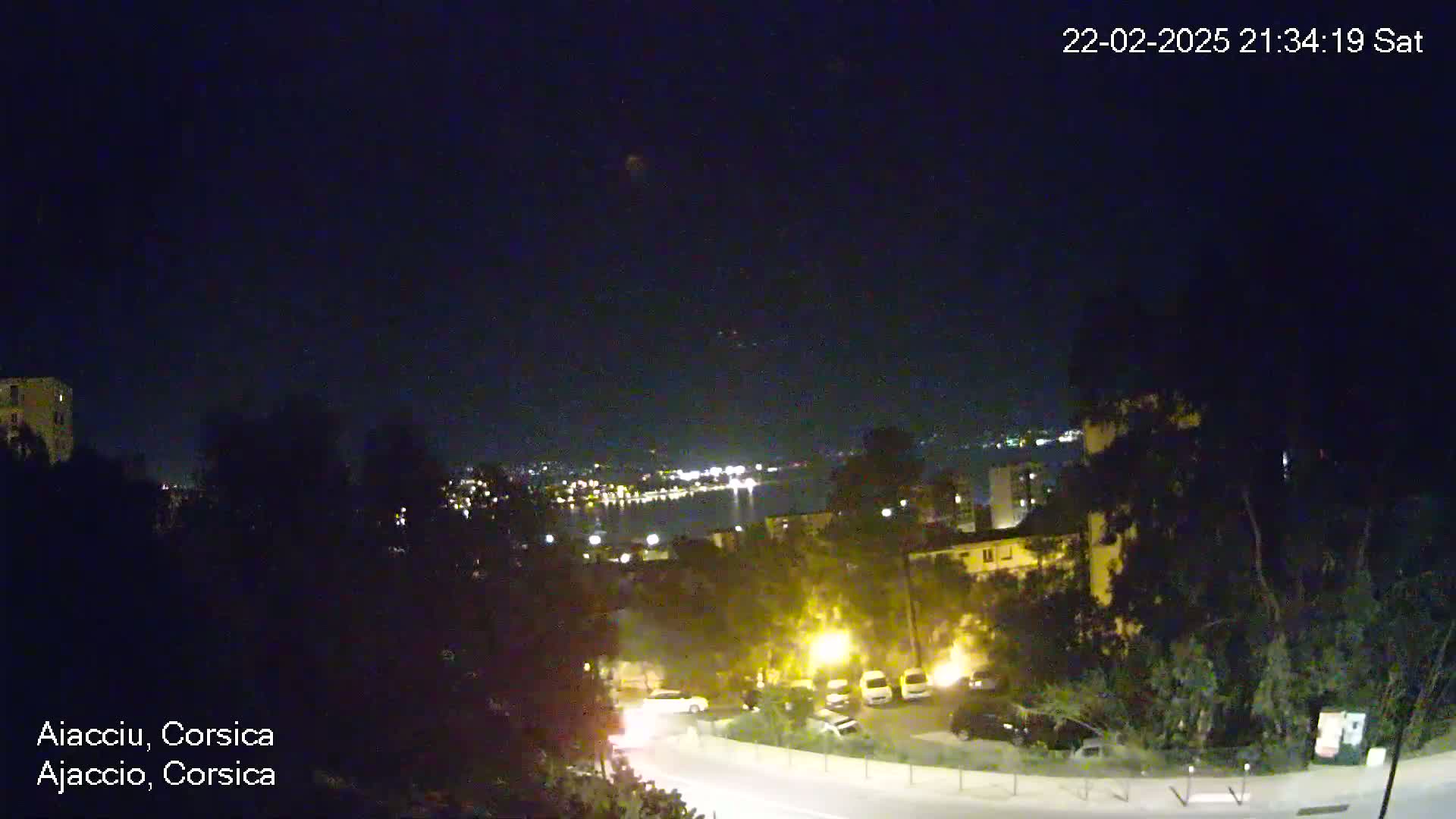 A nighttime view of a city overlooking a body of water, with a clear sky and some streetlights illuminating a road and parked cars below.