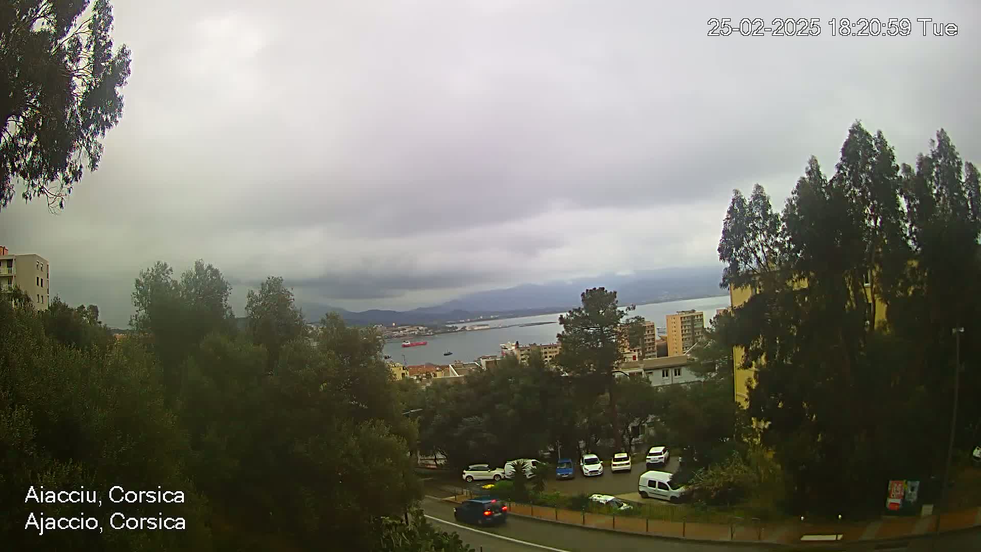 A view of a harbor and city under an overcast sky, seen from an elevated vantage point overlooking a road with parked cars and trees.