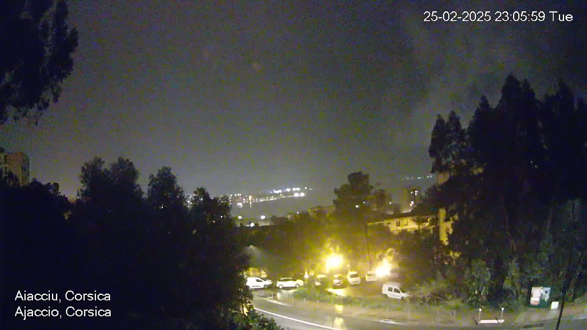 A nighttime view of a rain-slicked road, parked cars, and dark trees overlooking a city with lights visible across the water under a cloudy sky.