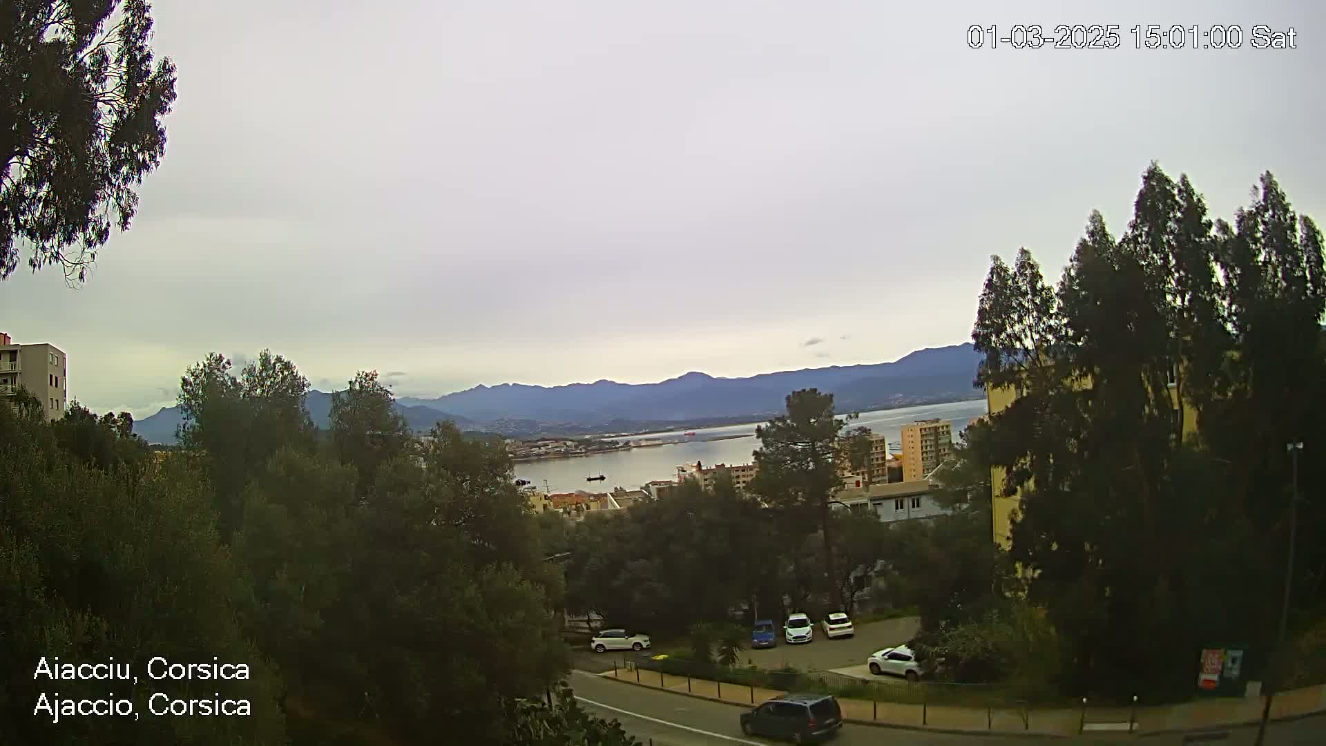 An overcast day reveals a view of a city, a calm body of water, and distant mountains, all surrounded by lush green vegetation.