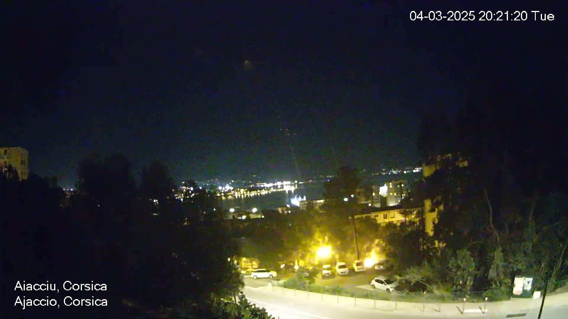 A nighttime view of a city across a body of water, partially obscured by dark trees, under a clear sky.