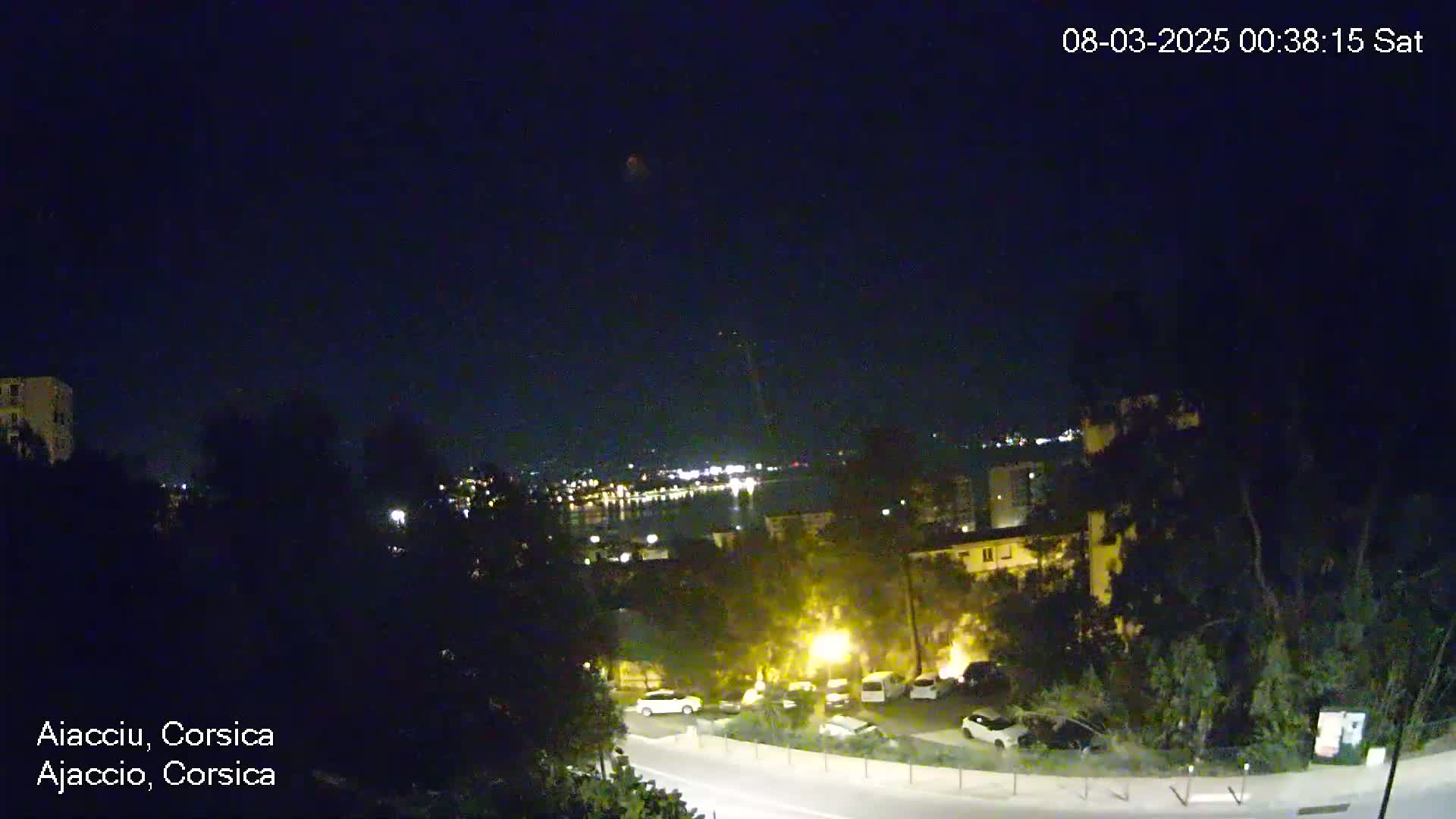 A nighttime, clear-sky view of a coastal town with a body of water in the distance, featuring a road curving through a residential area with parked cars and some trees.