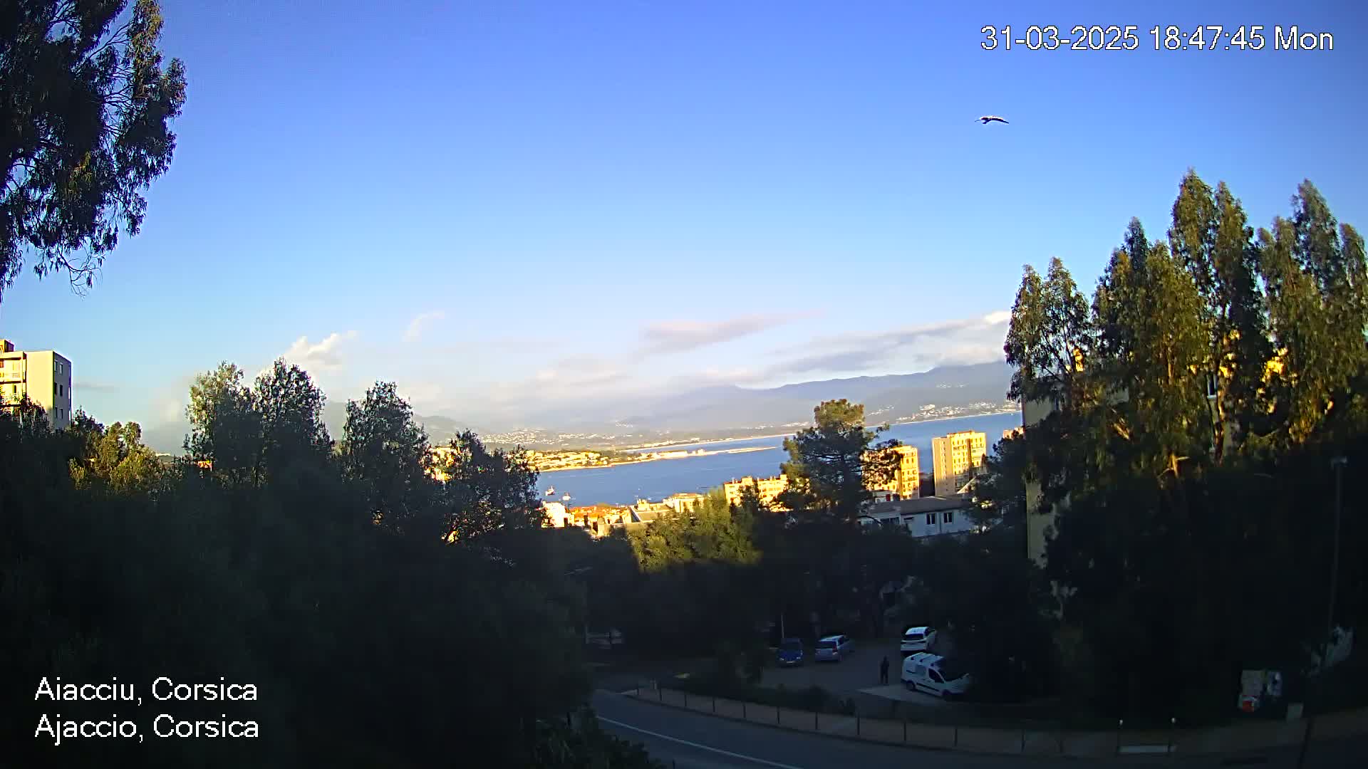 A clear, sunny day overlooks a coastal city with a calm body of water, mountains in the distance, and green trees and buildings in the foreground.