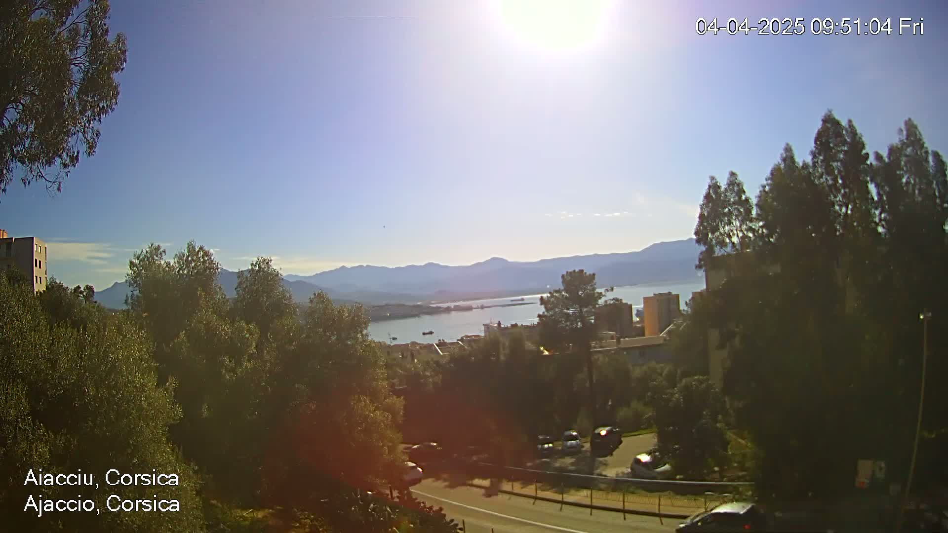 A sunny view overlooking a harbor, city, and mountains, with a road curving through green vegetation in the foreground.