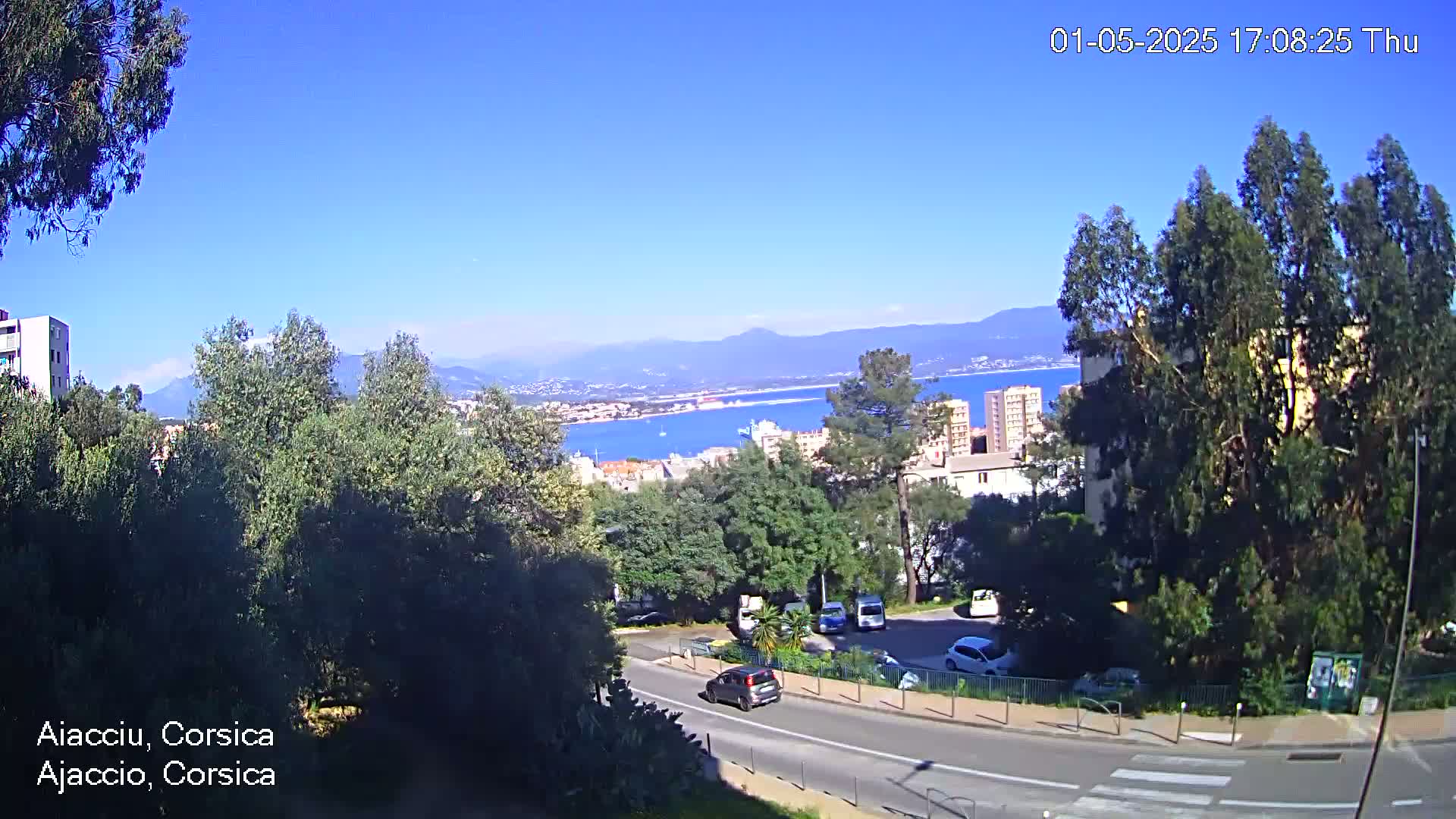 A sunny, daytime view overlooking a coastal city with a harbor, mountains in the distance, and a road winding through a tree-lined area.