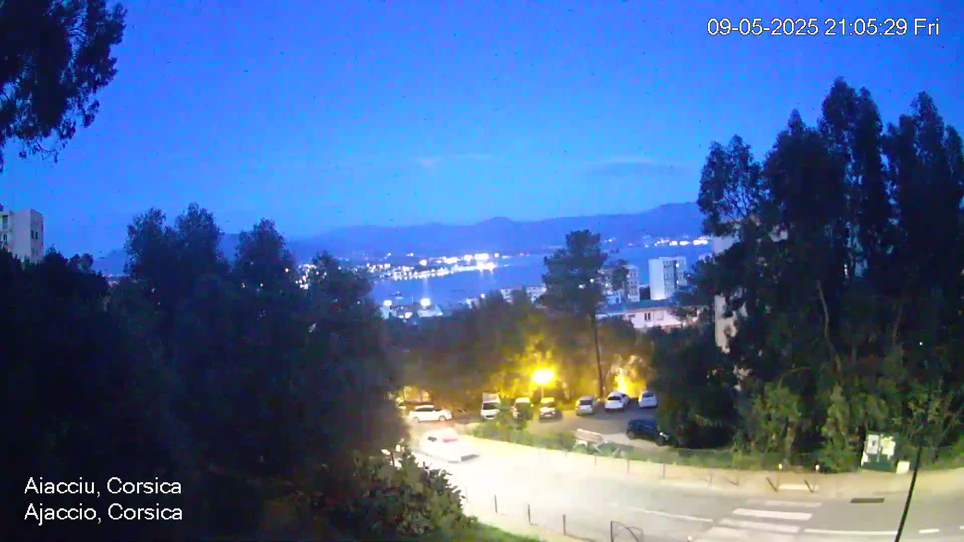 A nighttime view of a city overlooking a body of water under a clear, dark-blue twilight sky shows cars parked and driving on a road winding through trees and buildings.