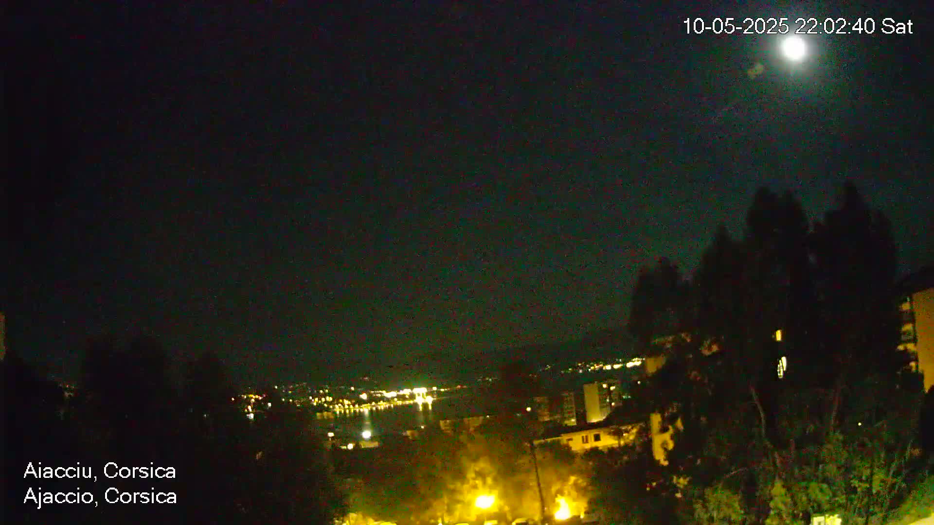 A nighttime view of a city illuminated by lights, under a clear sky with a bright moon.