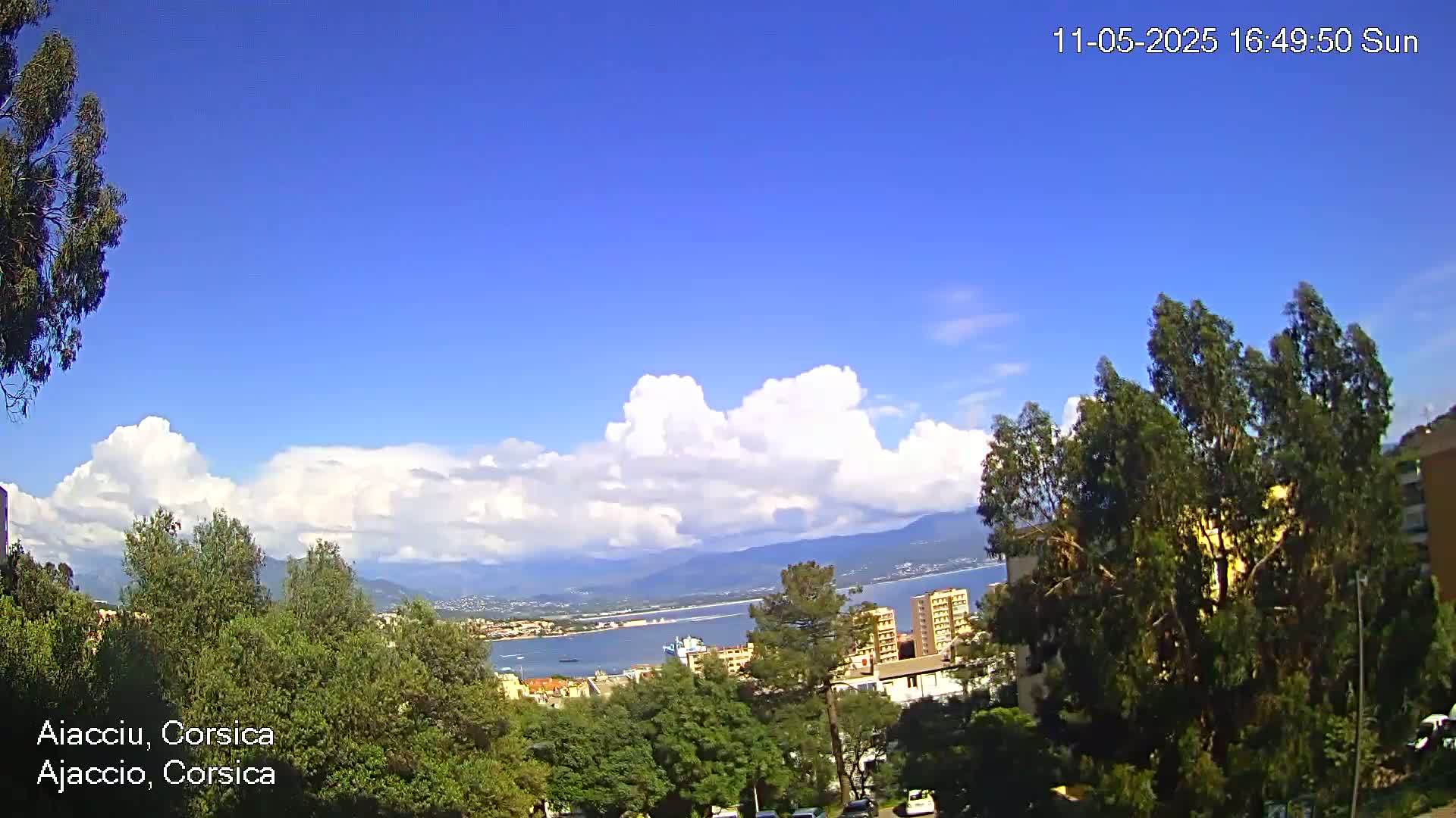 A sunny day with puffy white clouds over a coastal city with green trees and a body of water in the distance.