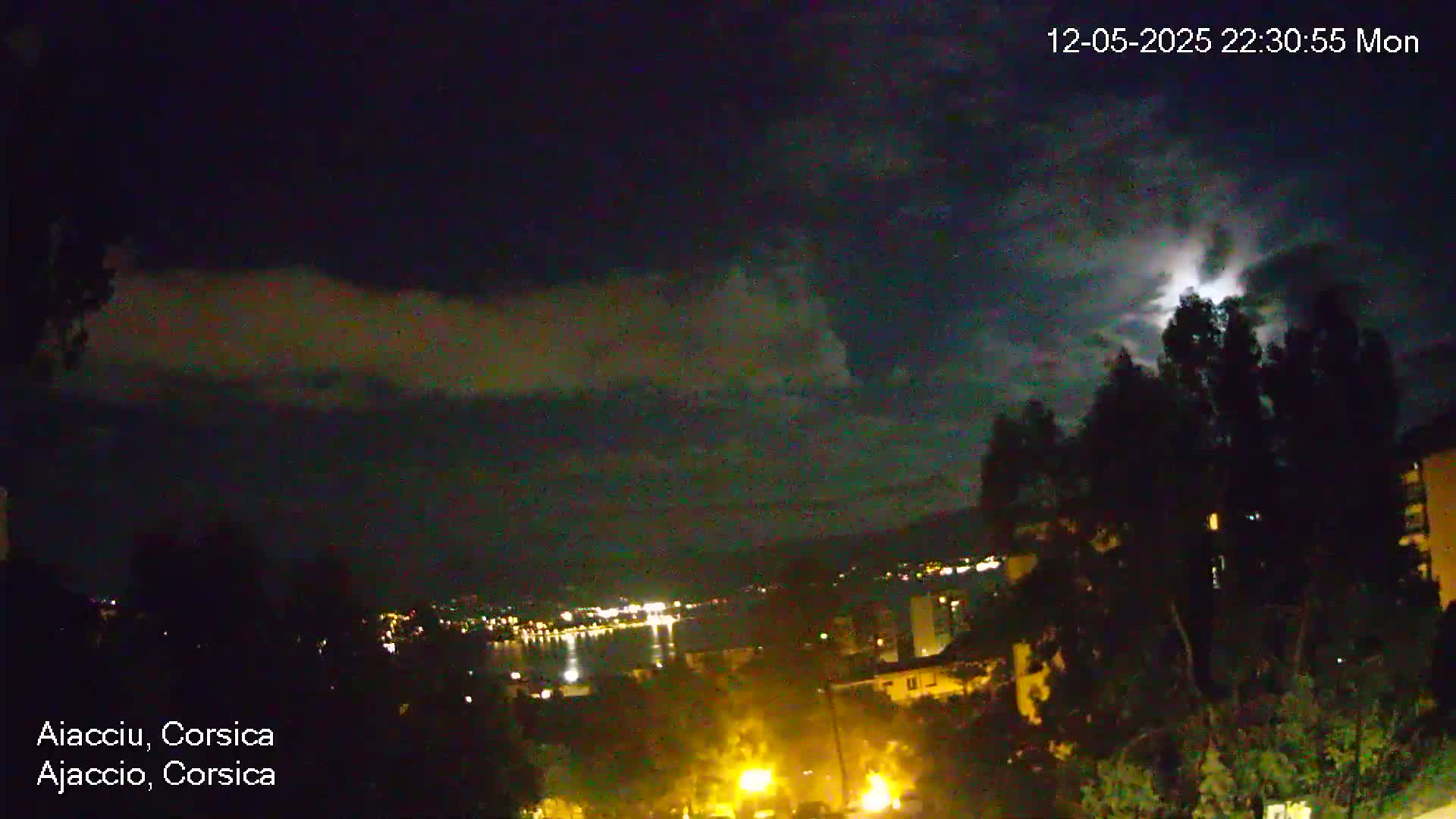 A nighttime view of a city illuminated by lights, partially obscured by trees under a cloudy sky with a bright moon or other light source visible through the clouds.