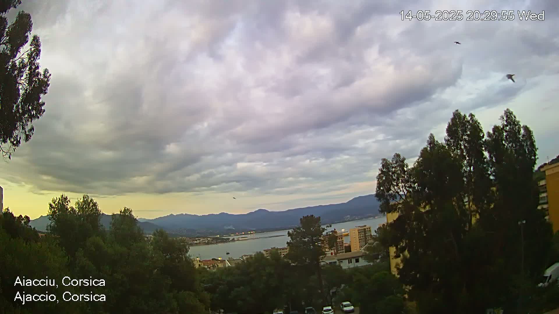 Overcast sky with a few birds flying over a coastal town nestled among dark green trees and mountains, overlooking a calm body of water.