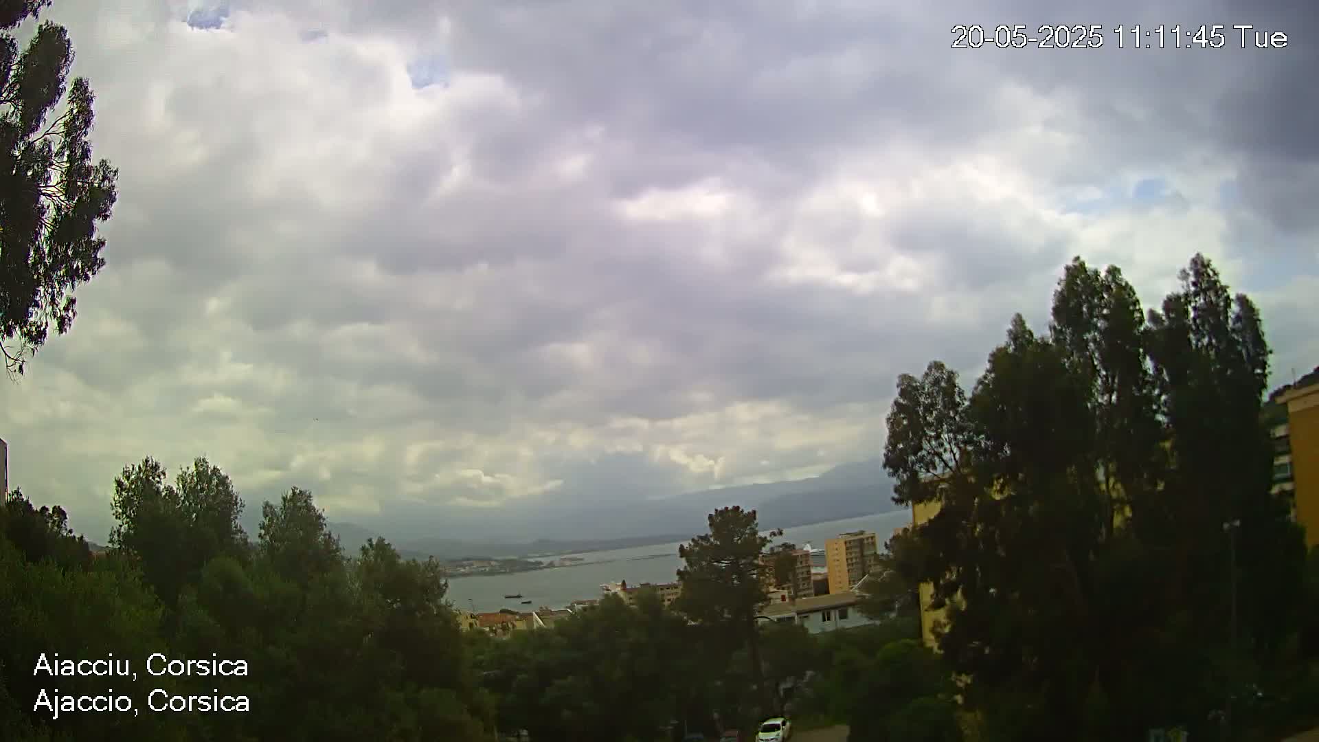 A partly cloudy day reveals a coastal view of a city nestled amongst green trees and hills, overlooking a calm body of water.