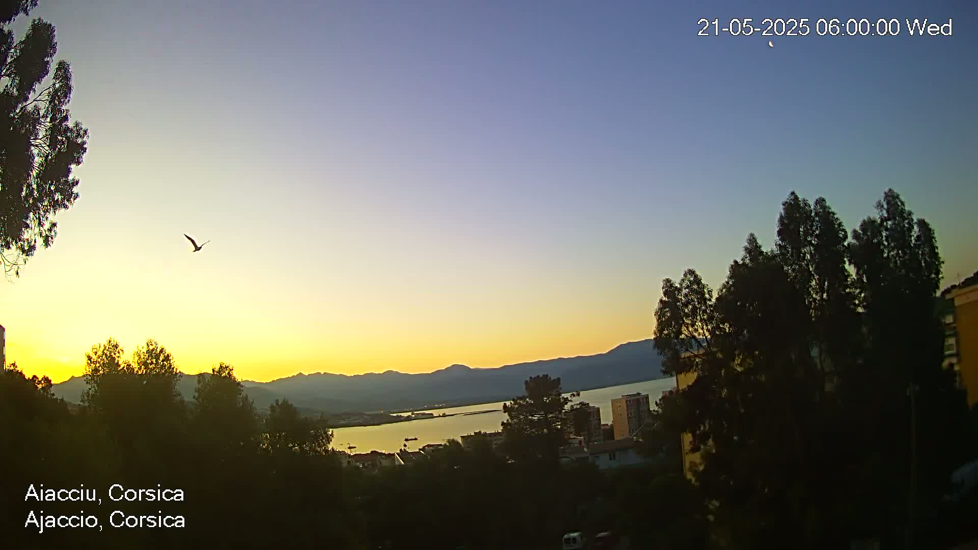Corsica, Ajaccio City Skyline Live Cam - Ajaccio, Corse-du-Sud, Corse , France