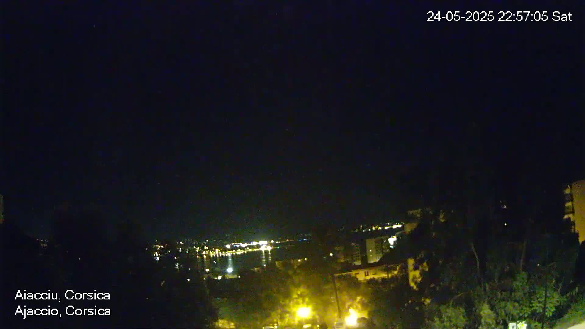 A nighttime view of a city skyline across a body of water, partially obscured by trees and darkness.