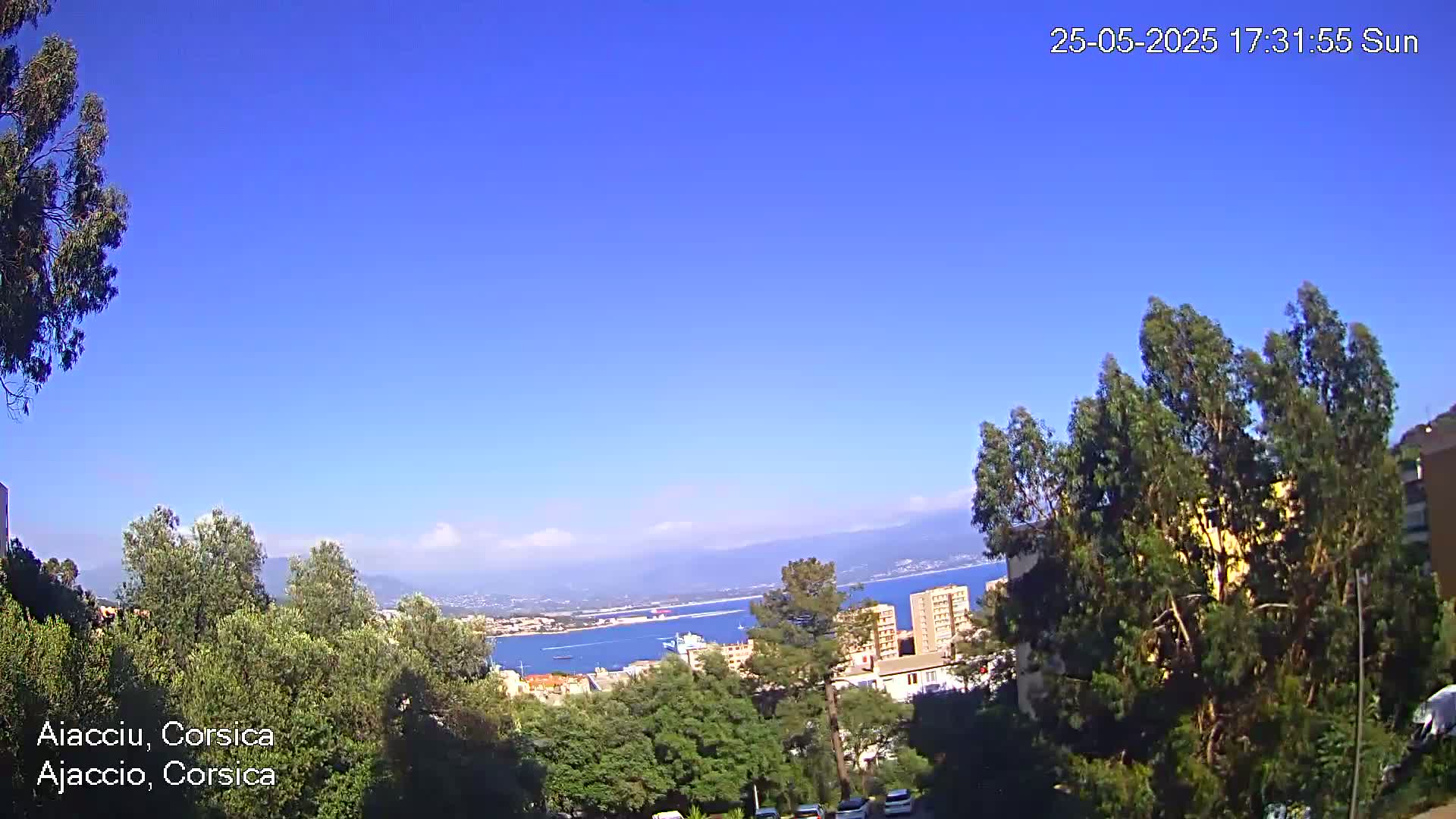 A sunny, clear day overlooks a coastal city with a harbor, mountains in the distance, and lush green trees in the foreground.
