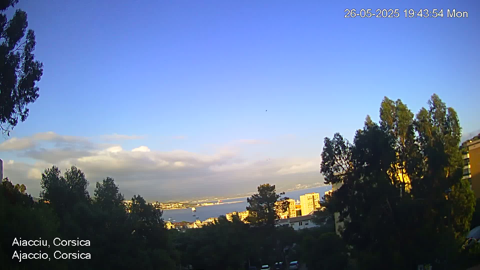 A partly cloudy, clear blue sky overlooks a coastal city and harbor, seen from a hillside vantage point filled with trees.