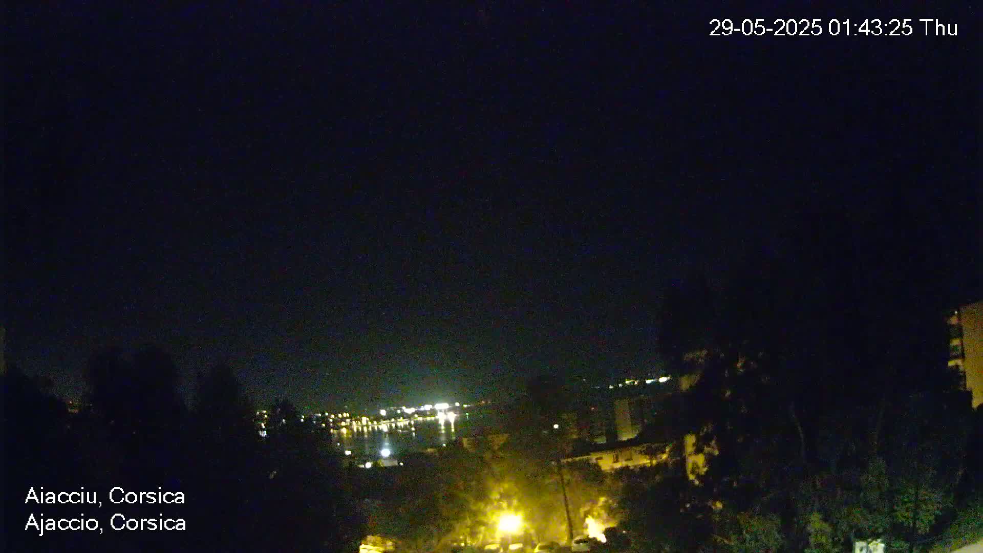 A nighttime view of a city across a body of water, partially obscured by trees in the foreground under a clear, dark sky.