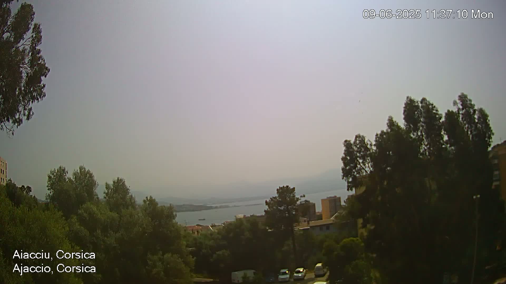 A hazy, distant view of a body of water and buildings is seen from an elevated vantage point amongst green trees and shrubs.