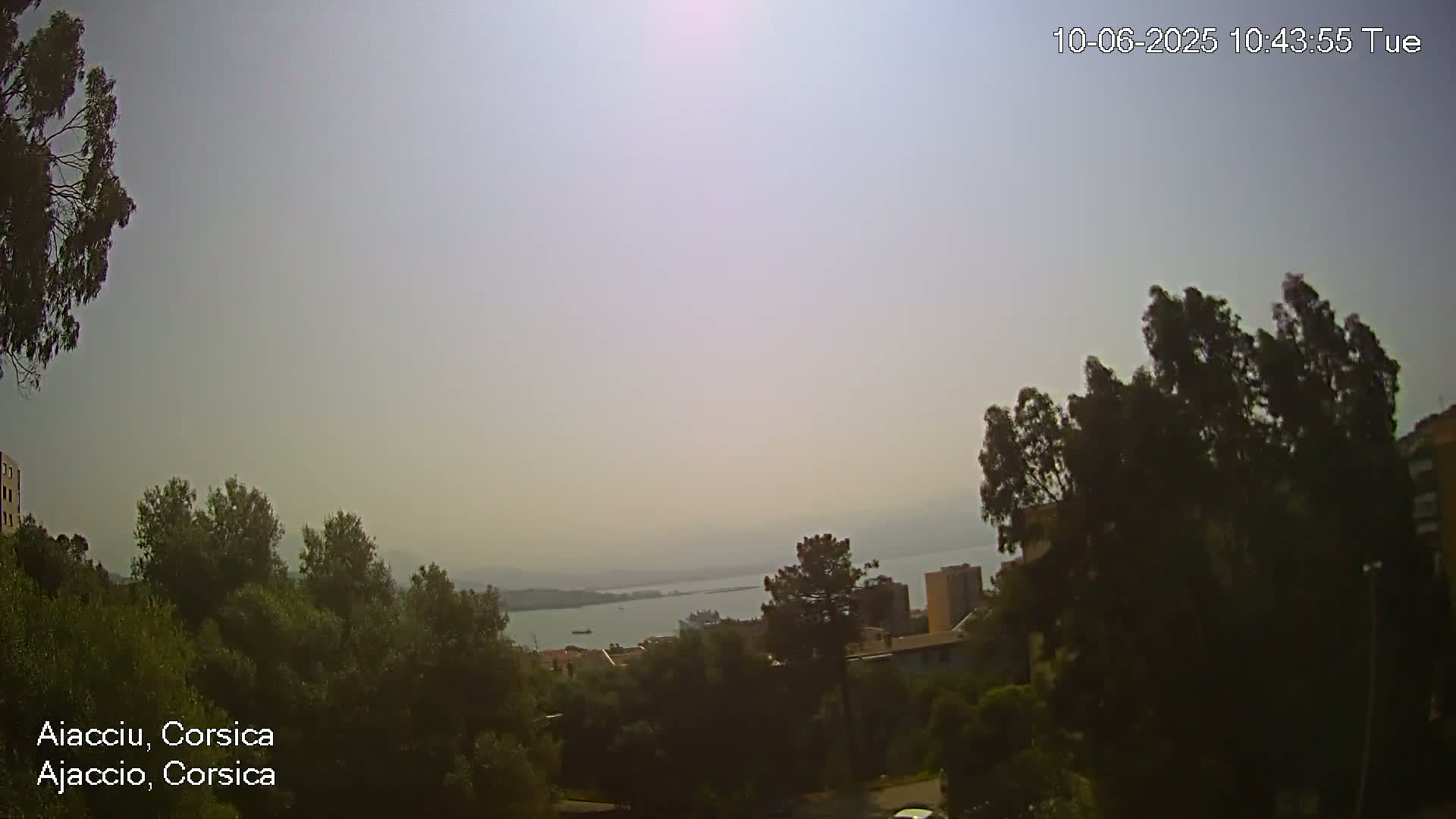 A hazy, sunny view overlooking a calm body of water, with green trees and buildings visible in the foreground and midground.