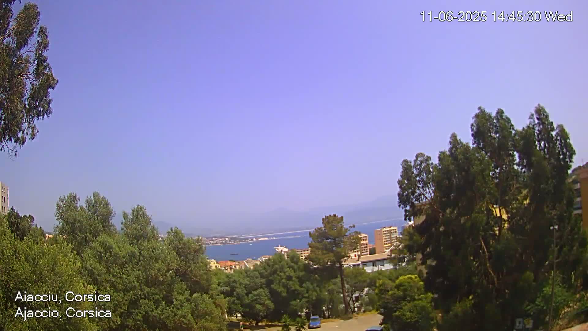 A clear, sunny day overlooks a coastal city, with lush green trees in the foreground and a calm body of water visible in the distance.