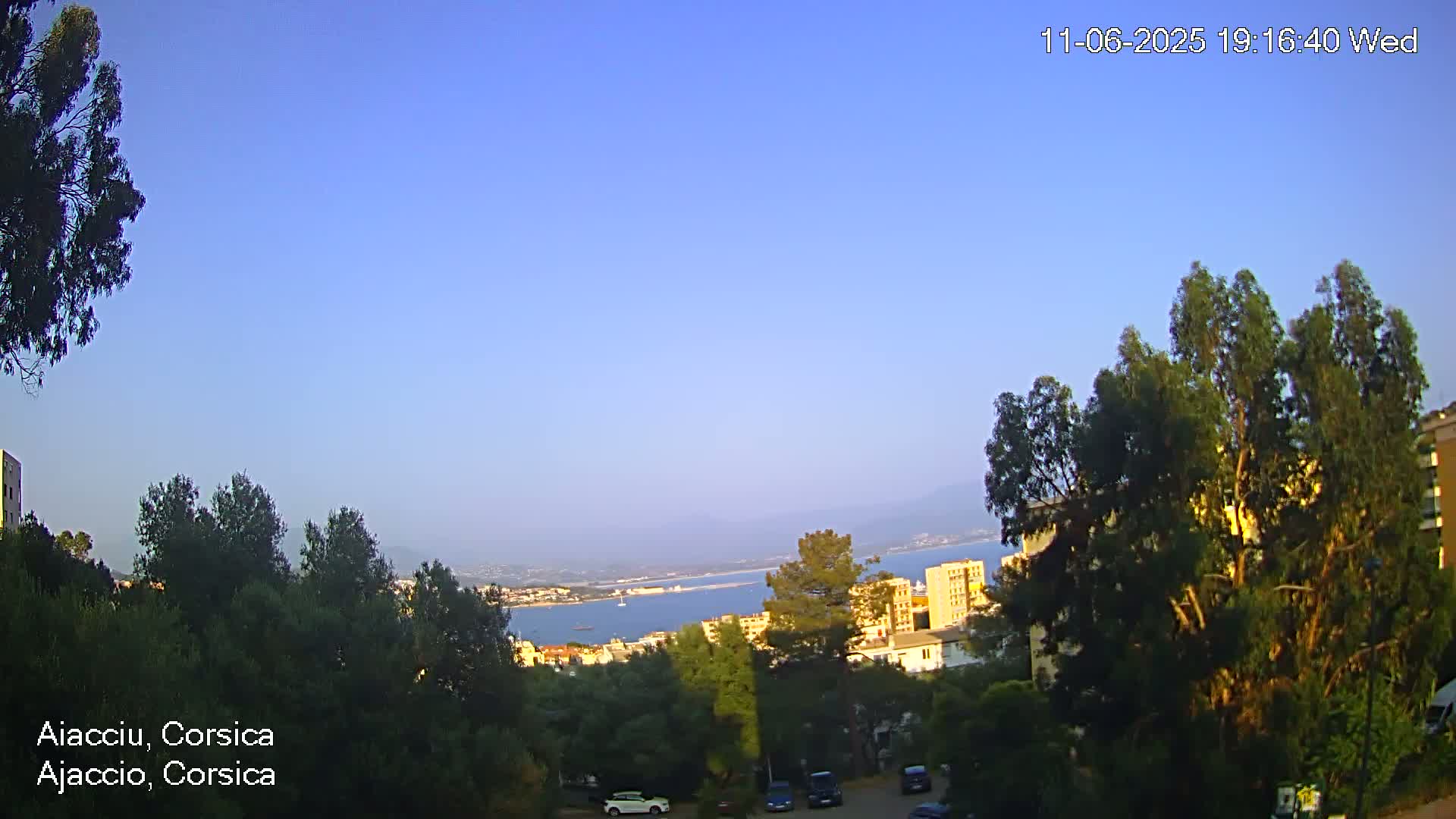 A clear, sunny view overlooking a coastal city and calm bay, partially obscured by trees in the foreground.